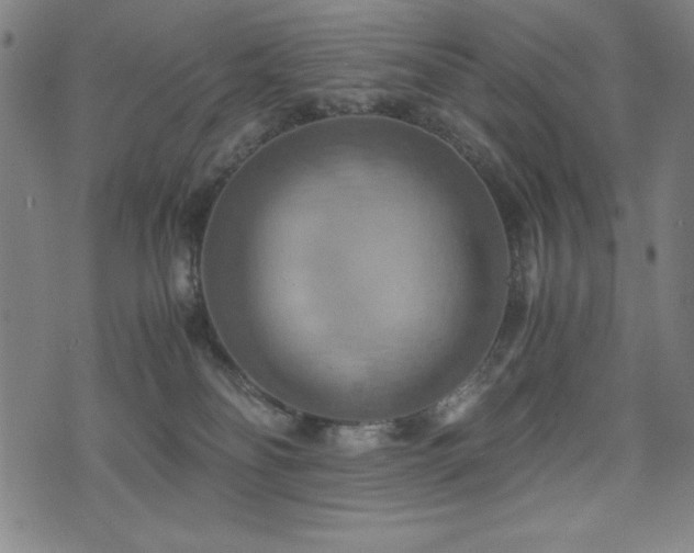 X0000075890134200609151355