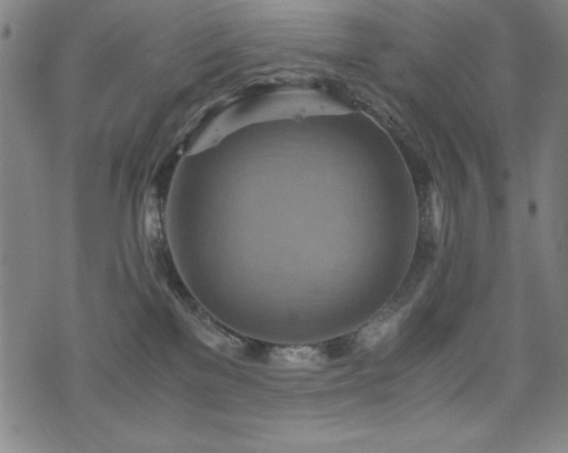 X0000075890137200609151355