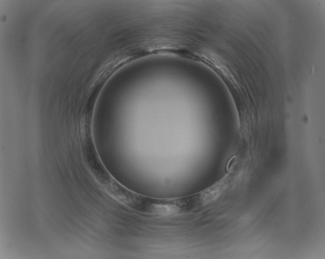 X0000075890167200609151355