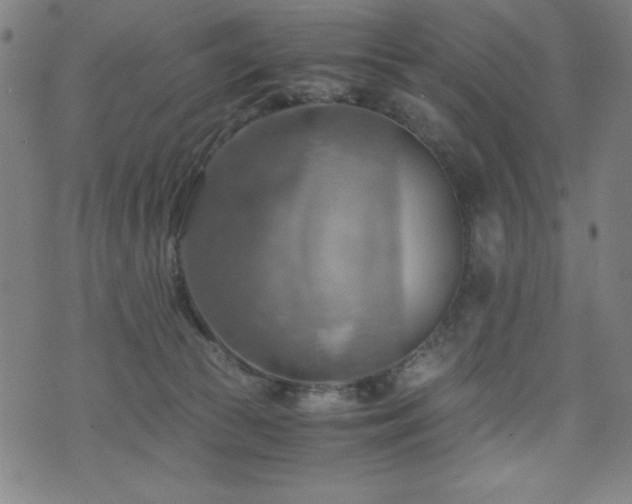 X0000075890177200609151355