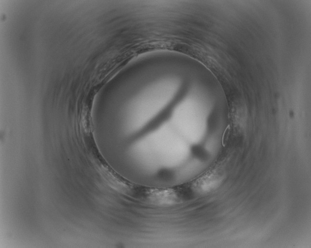 X0000075890185200609151355
