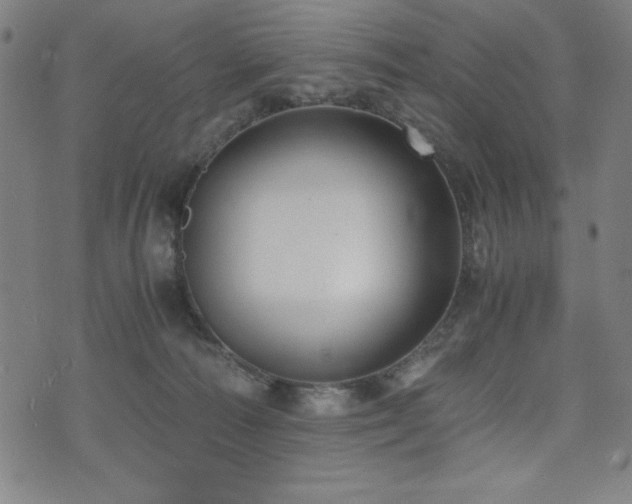 X0000075890226200609151354
