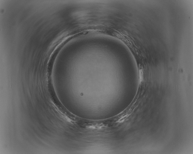 X0000075890243200609151353