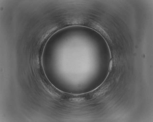 X0000075890251200609151353