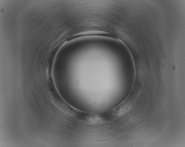 X0000075890262200609151353