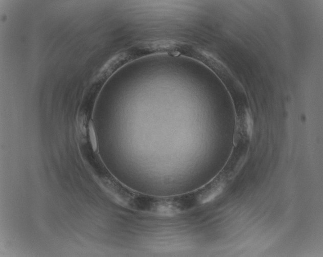 X0000075890264200609151353