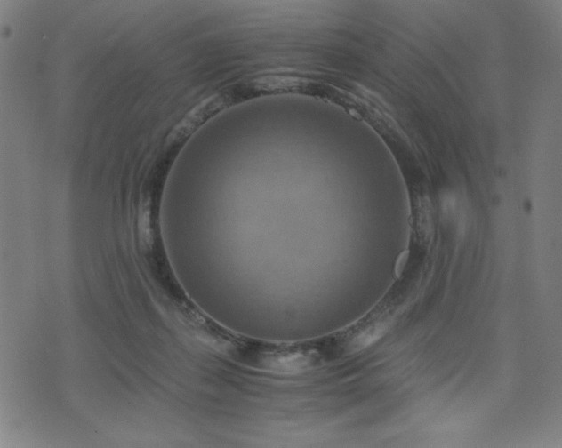 X0000075890267200609151353