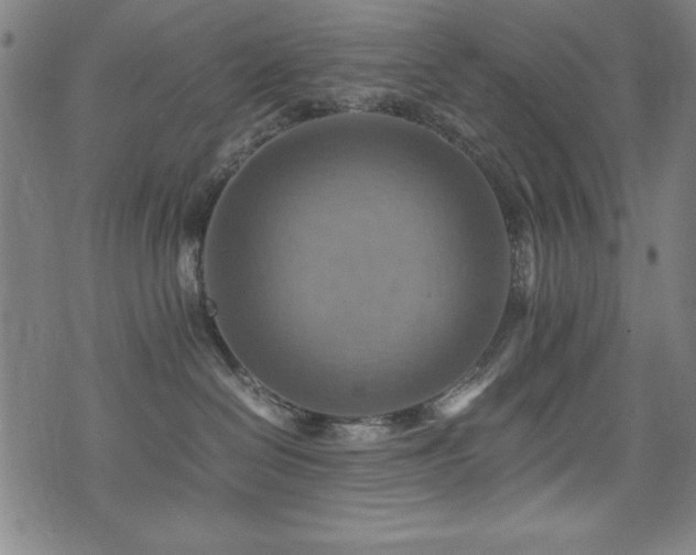 X0000075890286200609151354