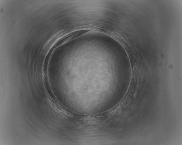 X0000075890290200609151353