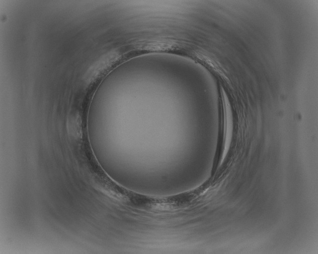 X0000075890303200609151353