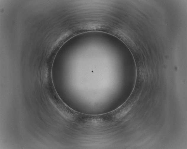 X0000075890304200609151353