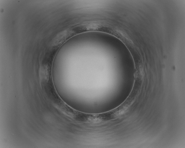 X0000075890311200609151353
