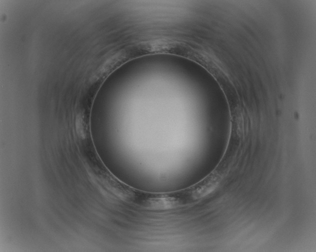 X0000075890316200609151352