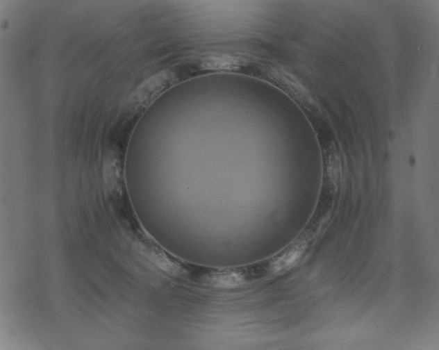 X0000075890322200609151352