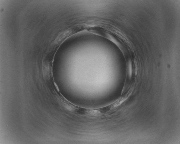 X0000075890333200609151352