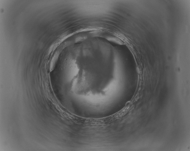 X0000075890337200609151351