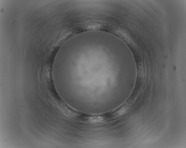 X0000075890363200609151352