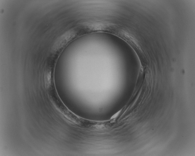 X0000075890406200609151351