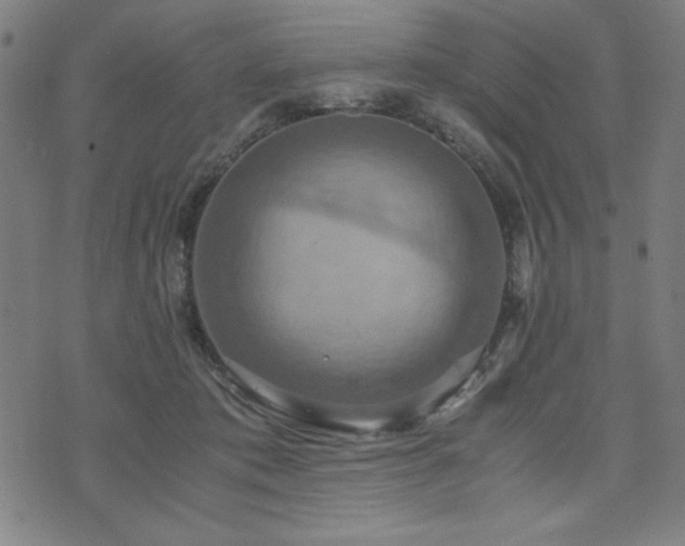 X0000075890413200609151351