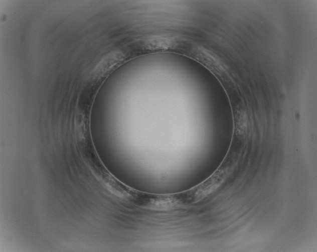 X0000075890414200609151351
