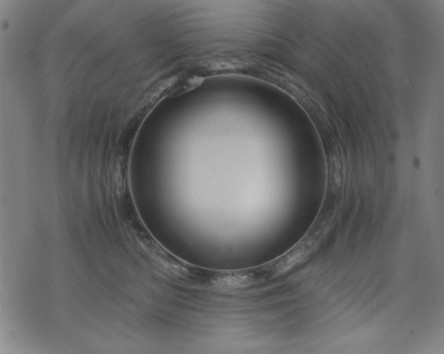 X0000075890422200609151351