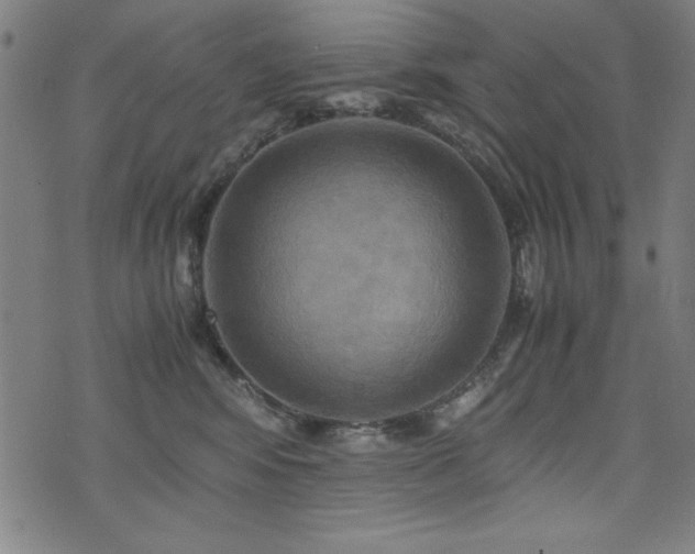 X0000075890424200609151351