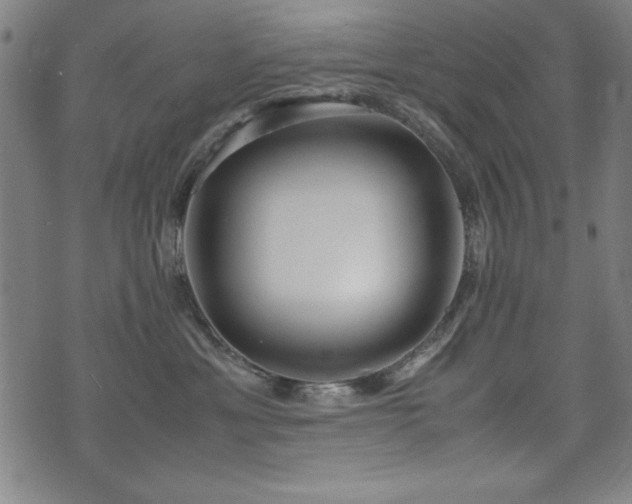 X0000075890429200609151351