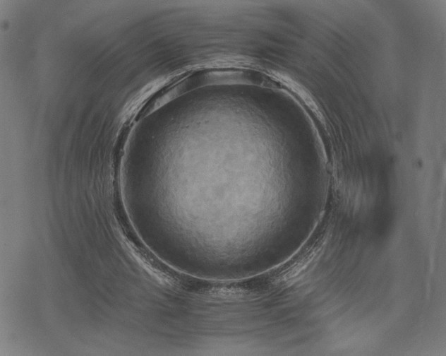 X0000075890437200609151350