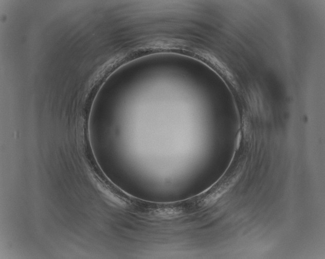 X0000075890445200609151350
