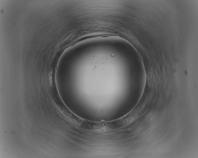 X0000075890454200609151350