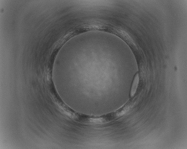 X0000075890457200609151350