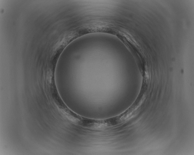 X0000075890458200609151350
