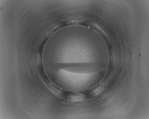 X0000075890459200609151350