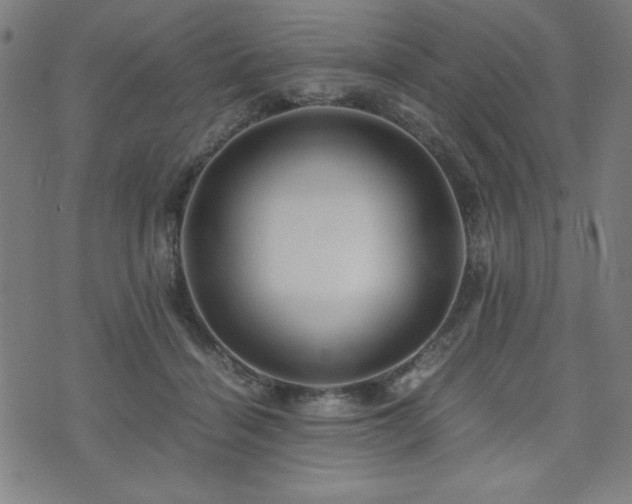 X0000075890460200609151350