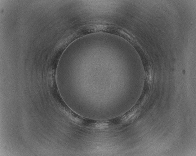 X0000075890462200609151350