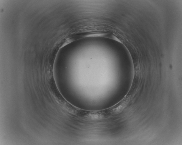 X0000075890464200609151350