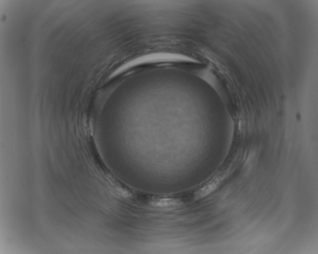 X0000075890467200609151350