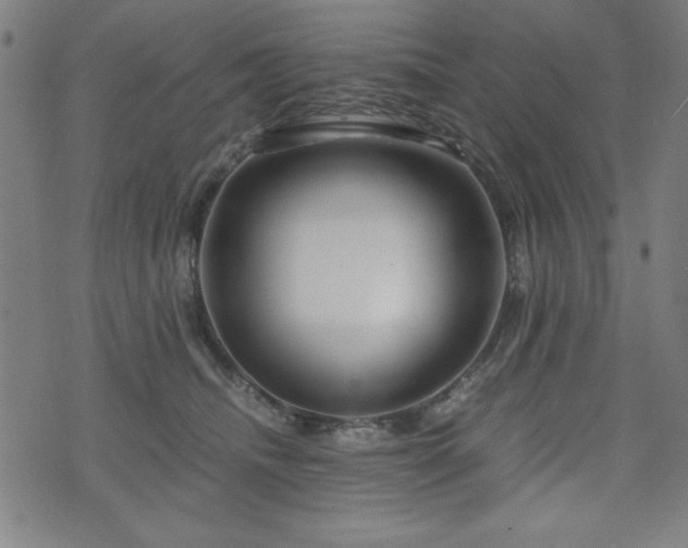 X0000075890468200609151350