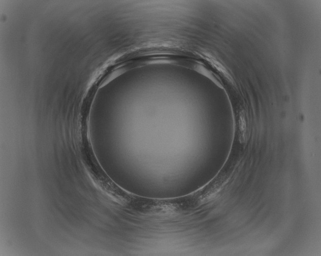 X0000075890492200609151350
