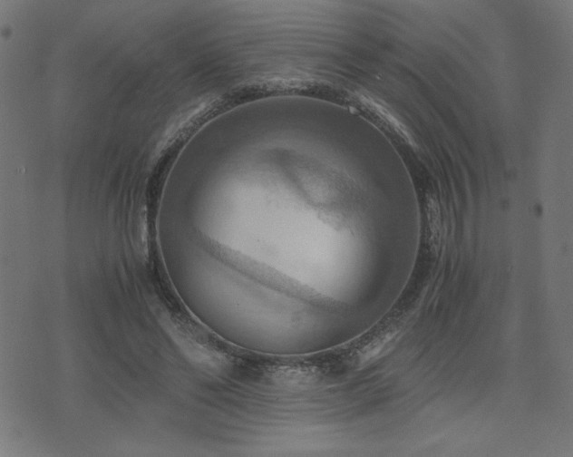 X0000075890494200609151350