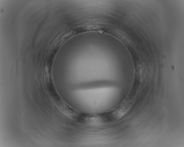X0000075890506200609151349