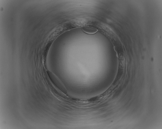 X0000075890507200609151349
