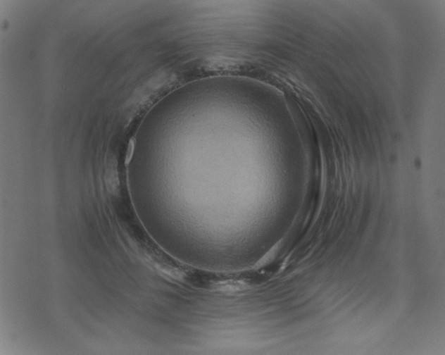 X0000075890508200609151349