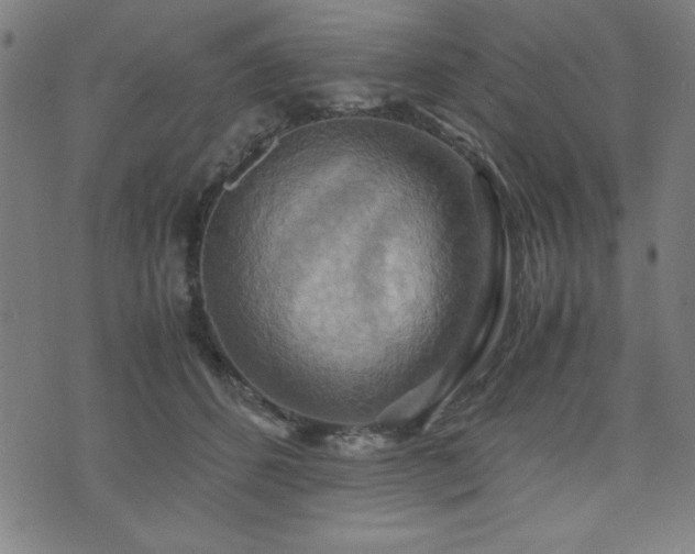 X0000075890512200609151349