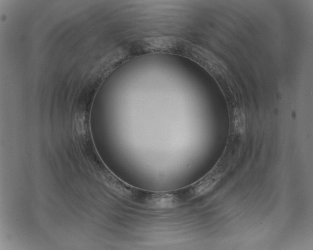 X0000075890514200609151349
