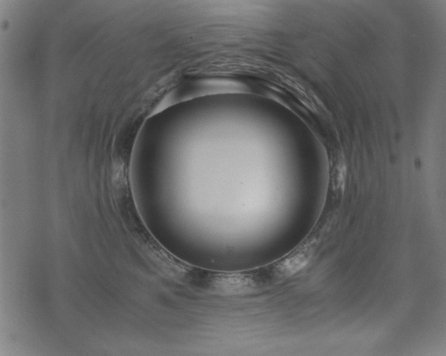 X0000075890521200609151349