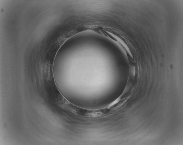 X0000075890525200609151349