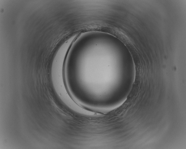X0000075890546200609151348