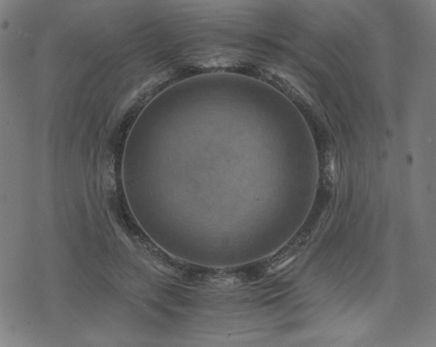 X0000075890547200609151348
