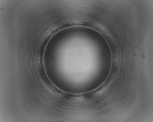 X0000075890548200609151348